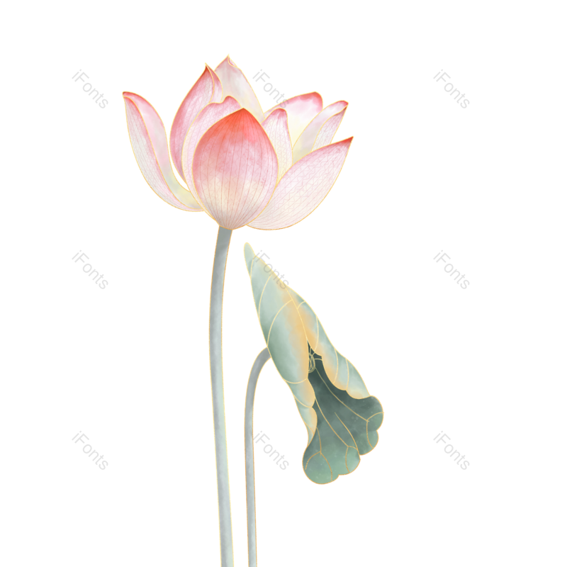 中国风图片,荷花元素,夏天PNG,古风免抠素材